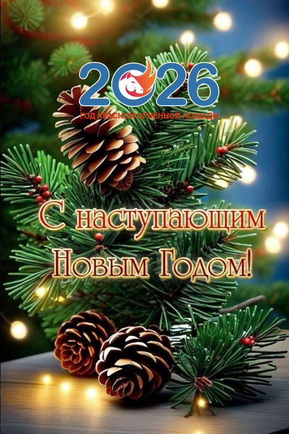 novogodnie pozdravleniya s nastupayushchim v 2026 godu 2 7